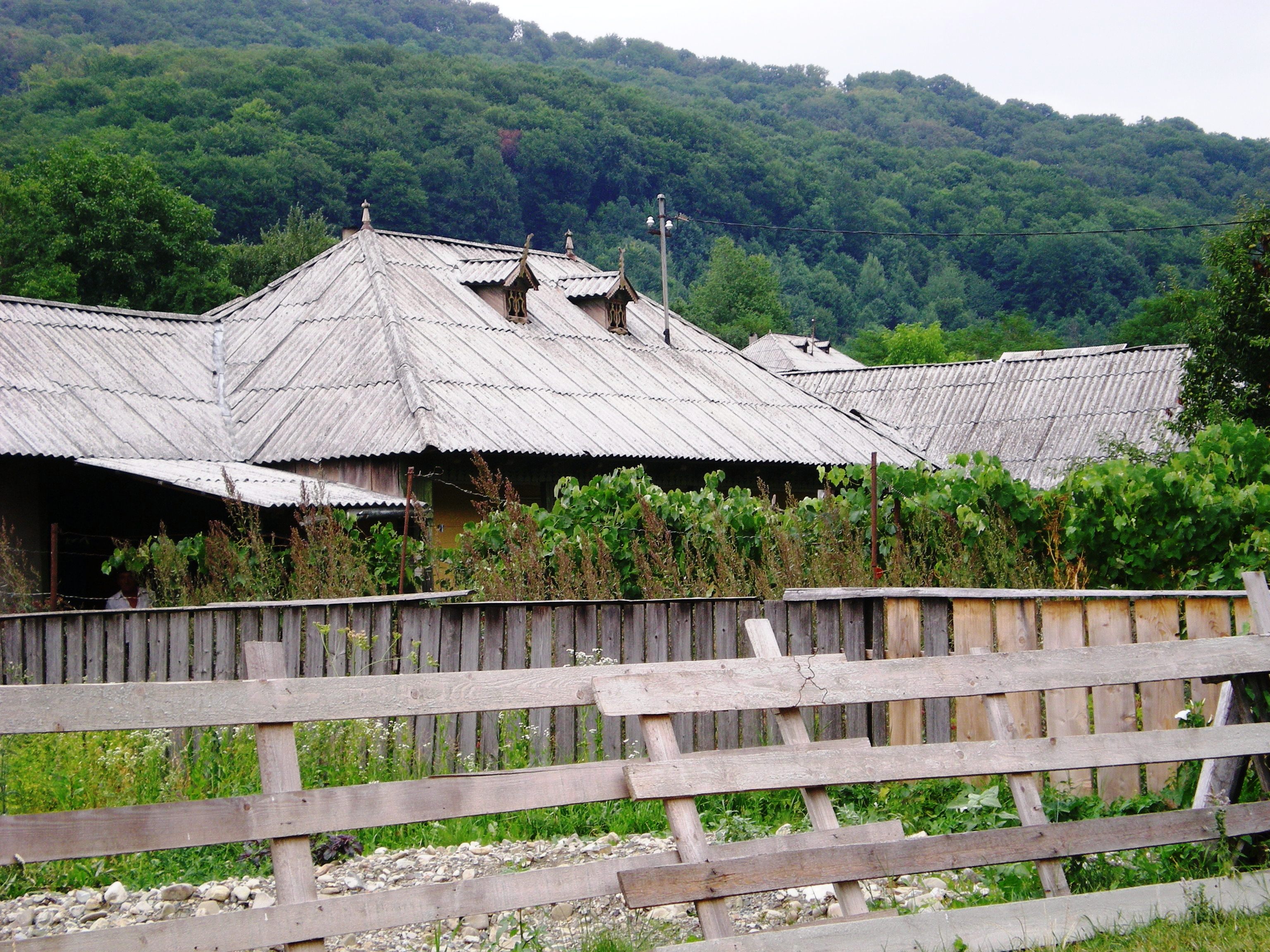 Negulesti